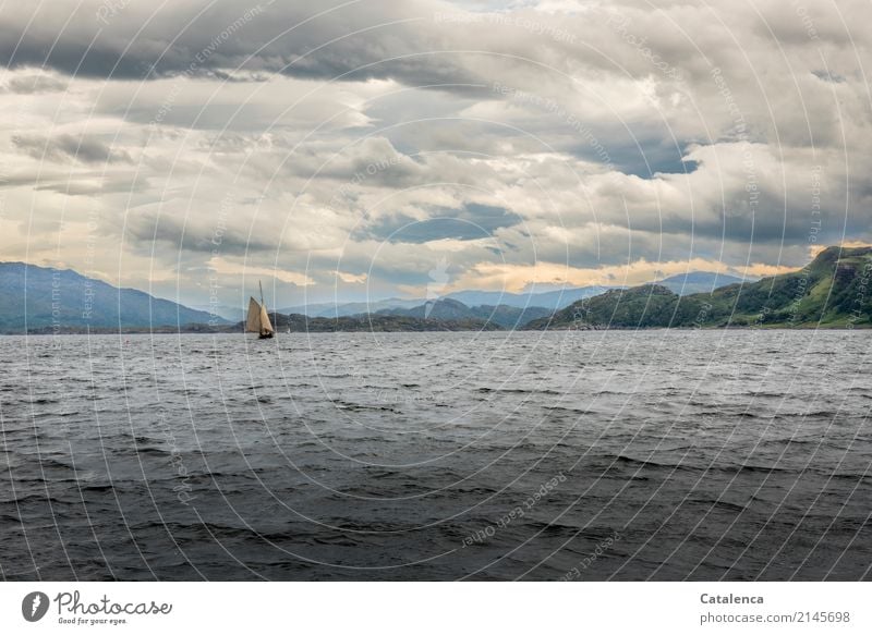 Sound of Mull on a cloudy day with sailboat Sailing Freedom Summer Ocean Waves Sailing trip Landscape Water Sky Clouds Horizon Hill Rock coast Atlantic Ocean