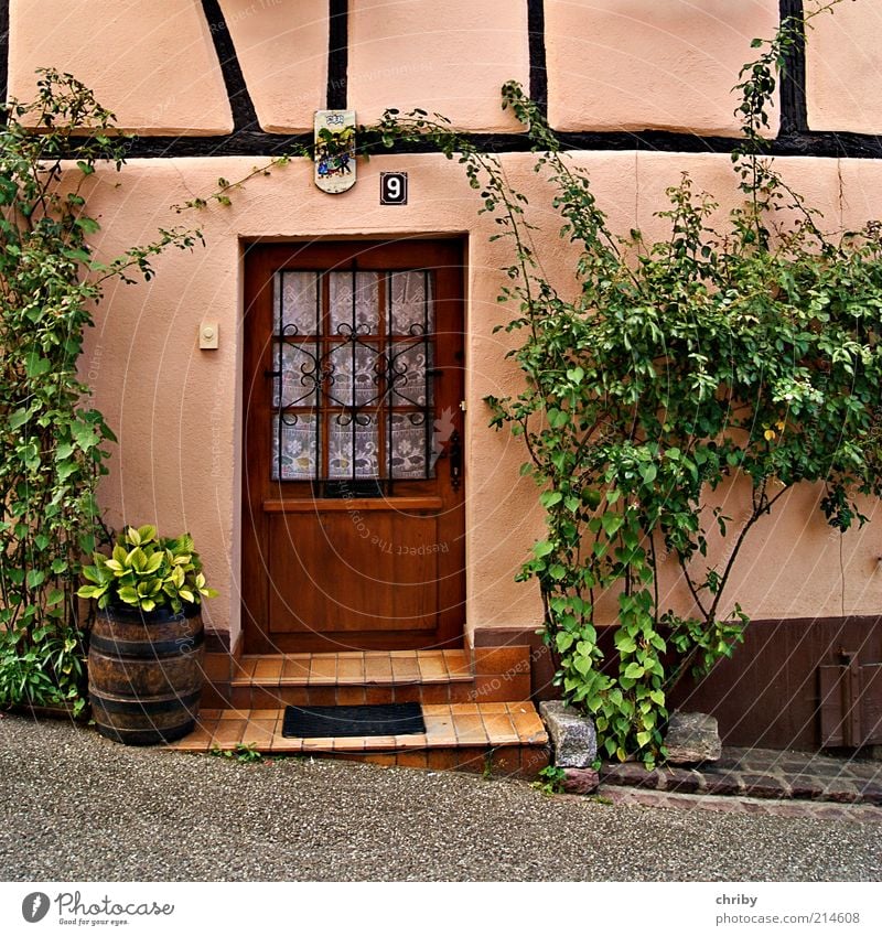 Please come in! Design Riquewihr France Europe Village Old town Deserted House (Residential Structure) Hut Building Medieval times Wall (barrier)