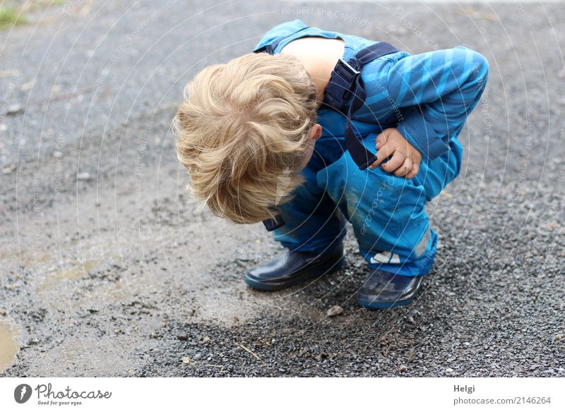 little boy squats on a rain-soaked path and looks down Human being Toddler Infancy 1 3 - 8 years Child Environment Nature Summer Bad weather Rain T-shirt