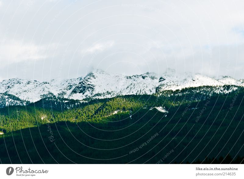 Sugar on the mountains II Calm Winter Snow Mountain Environment Nature Landscape Sky Clouds Autumn Climate Climate change Beautiful weather Forest timber line