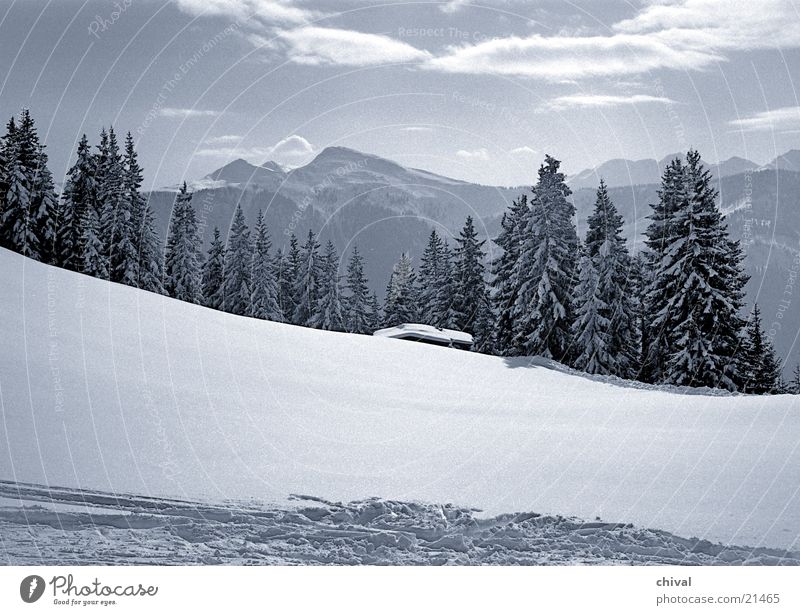 winter landscape Clouds Vacation & Travel Forest Spruce Mountain Snow Sun Sky Alps Hut Tracks