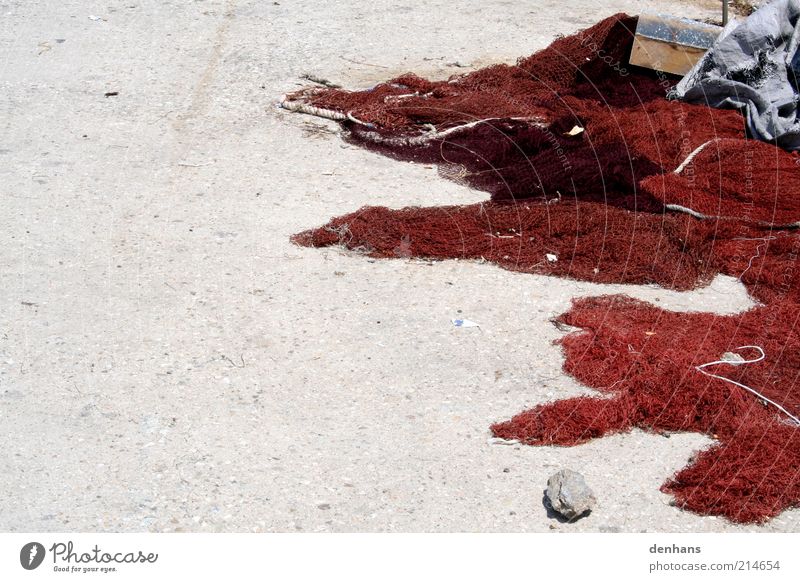 the fisherman's net Fishing net Beautiful weather Concrete Net Wet Dry Red Tradition Subdued colour Exterior shot Copy Space left Day Contrast Heap Deserted