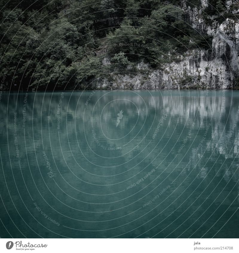 lower lake Nature Landscape Plant Tree Bushes Rock Lake Croatia Dark Colour photo Subdued colour Exterior shot Deserted Evening Reflection Stone Cliff