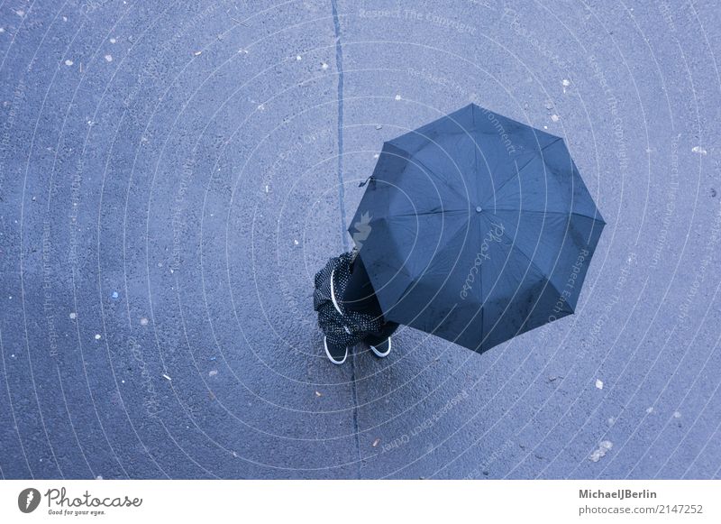 Man with umbrella from above Human being 1 Stand Weather Rain Umbrella Anonymous Bird's-eye view Bad Bad weather Minimalistic Colour photo Exterior shot