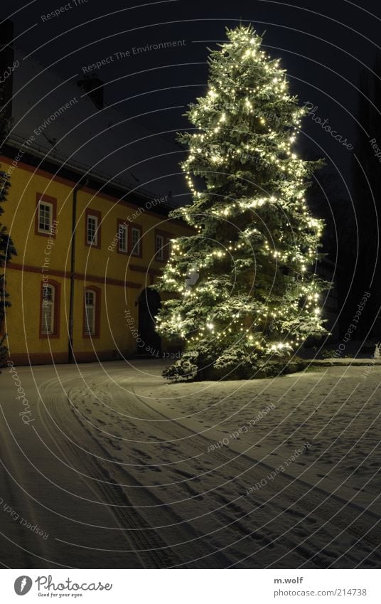 little drummer boy Winter Snow House (Residential Structure) Feasts & Celebrations Night sky Ice Frost Tree Park Village Deserted Castle Building Wall (barrier)