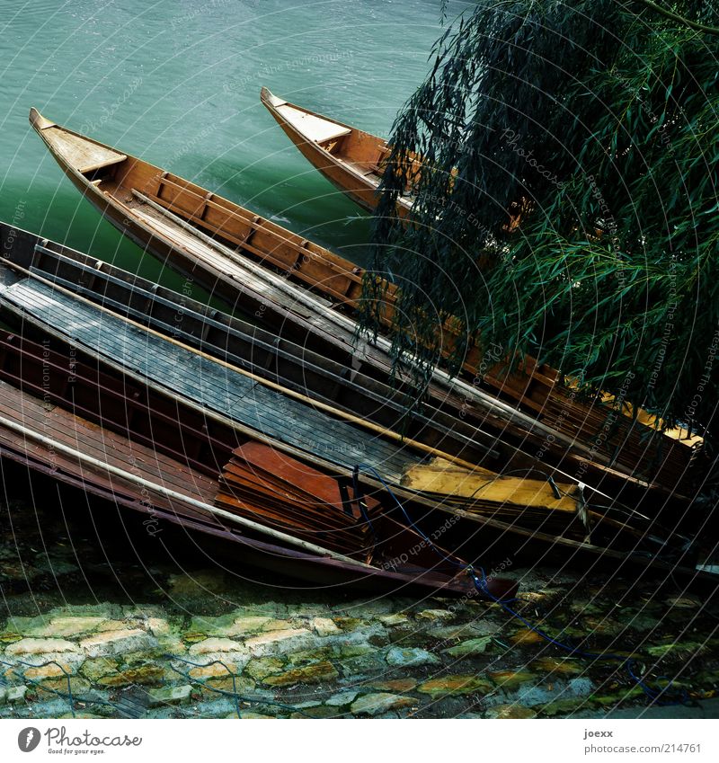 punt River bank Boating trip Rowboat Old Tübingen Neckar flatboat Colour photo Multicoloured Exterior shot Shadow Contrast Weeping willow Tree