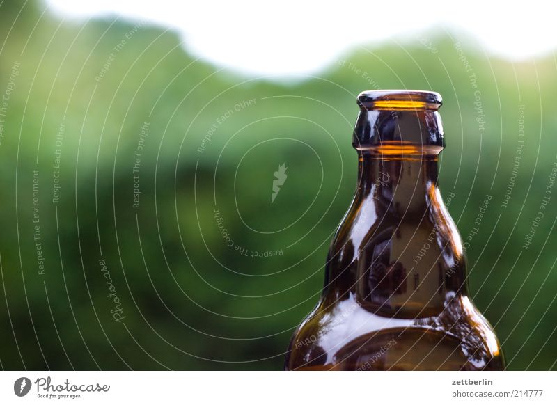 beer Beer Bottle Bottle of beer Empty Beverage Colour photo Neck of a bottle Brown 1 Neutral Background Deserted Copy Space left Copy Space top