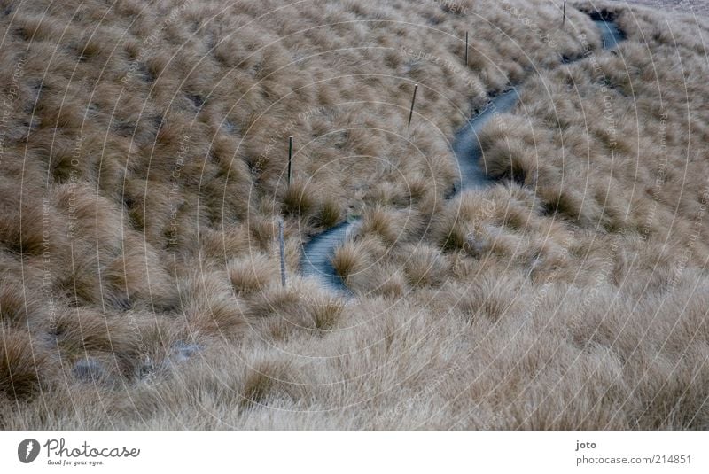 it goes after... Environment Nature Landscape Grass Bushes Meadow Field Discover Relaxation Vacation & Travel Infinity Future Lanes & trails Direction Ambiguous