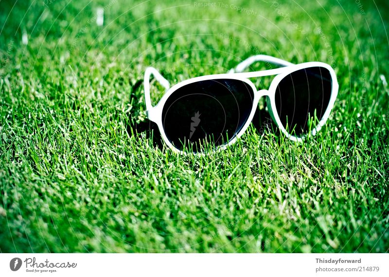 Sunglasses Lifestyle Style Joy Tourism Summer Summer vacation Sunbathing Nature Earth Sunlight Beautiful weather Grass Garden Plastic To enjoy Hang Smiling Lie