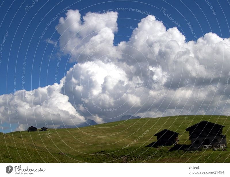 Sassolungo Langkofel Seiser Alm Alpine pasture Meadow Clouds Cumulus Mountain Plattkofel Pasture Sky Hut Thunder and lightning