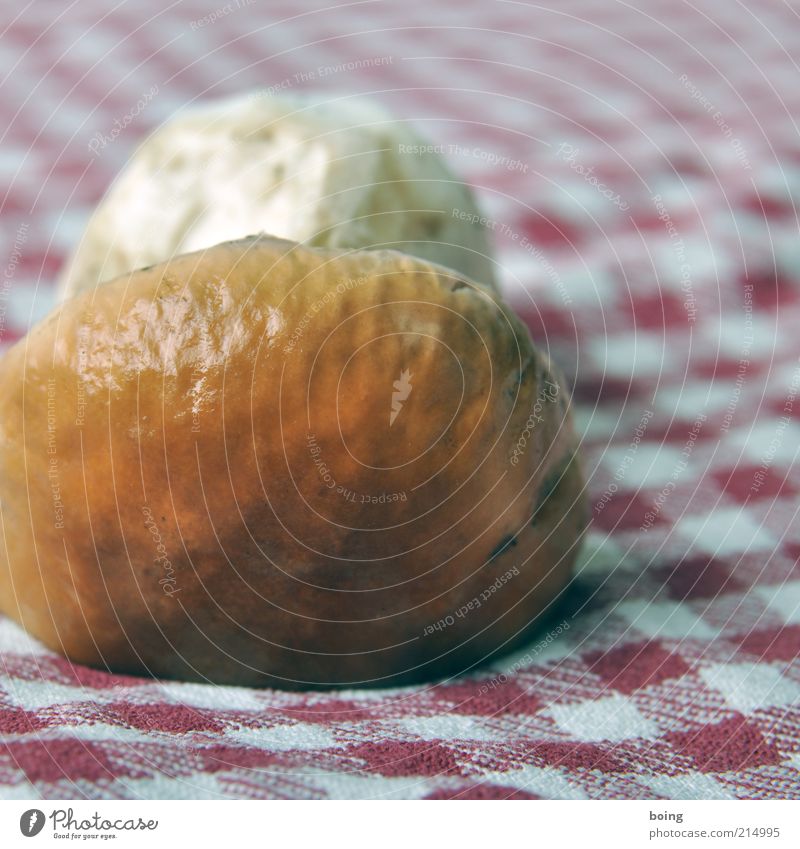 http://bit.ly/zu3i3s8 Food Boletus forest mushroom Mushroom cap Fragrance Colour photo Subdued colour Studio shot Close-up Boletaceae Edible Delicacy 1