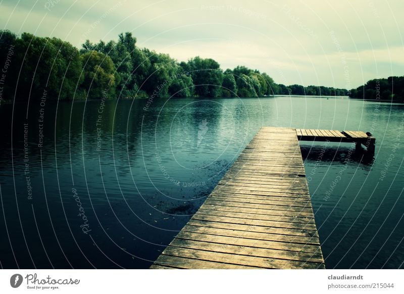 South Pacific Environment Nature Landscape Water Sky Clouds Forest Lakeside Braunschweig Germany Beautiful Blue Green Footbridge Jetty Retro Colours Wood Tree