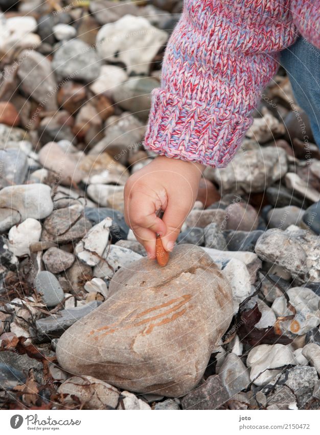 natural colours Vacation & Travel Trip Adventure Study Child Toddler Infancy 1 - 3 years Autumn Coast Baltic Sea Beach Discover Investigate Find relation