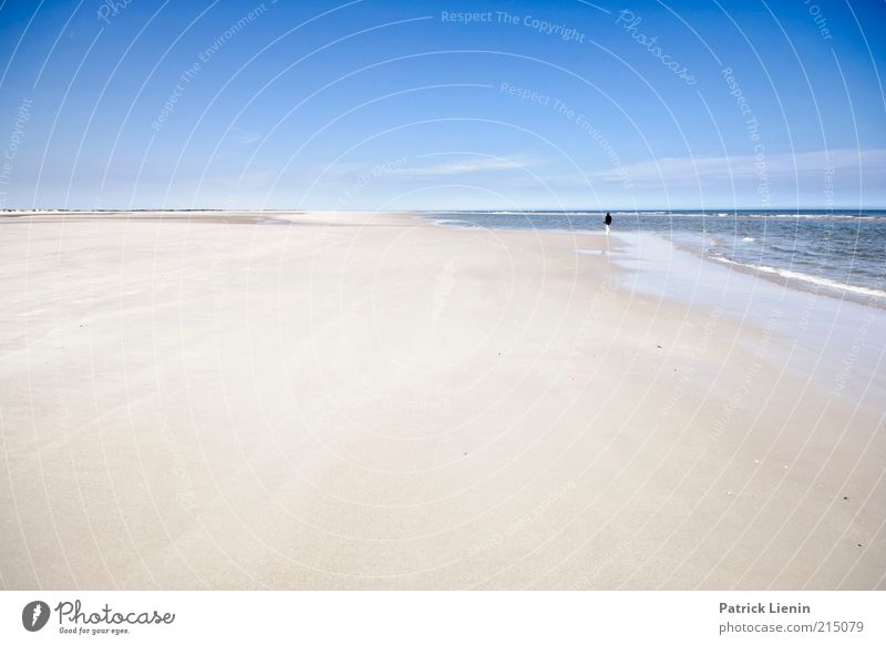 Take a picture Human being 1 Environment Nature Landscape Summer Climate Weather Beautiful weather Waves Coast Beach North Sea Ocean Island Looking Moody Joy