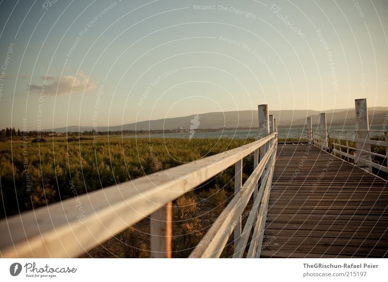 freedom Vacation & Travel Far-off places Beautiful weather Israel Blue Brown Green Moody Foreign Lake Genezareth Clouds Blue sky Handrail Footbridge Wood