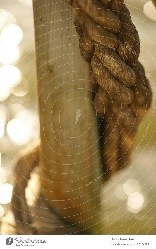 coastal magic Environment Nature Water Beautiful weather Rope Railing Wood Moody Enchanting Glittering Colour photo Exterior shot Close-up Detail Deserted