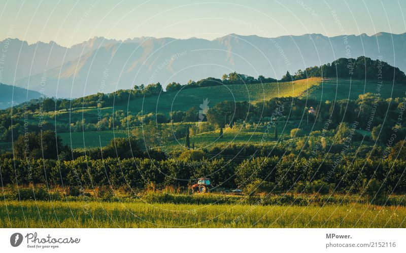 italy trecker Environment Landscape Beautiful weather Plant Grass Hill Alps Mountain Peak Transport Vehicle Tractor Blossoming Farmer Italy Summer