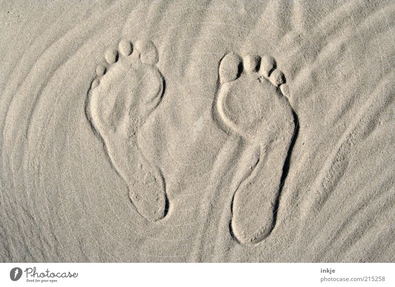 Tracks in the sand (schananaaa... ;-)) Wellness Life Summer Summer vacation Beach Feet Sand Beautiful weather Coast Footprint Warmth Brown Gray