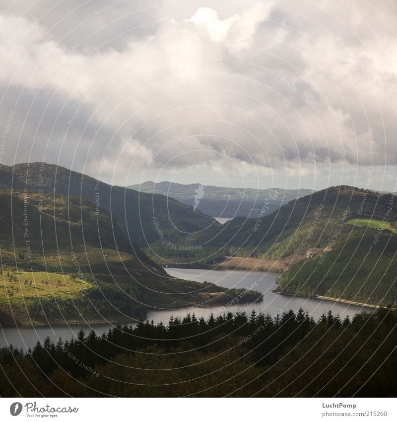 Behind the 7 mountains Enchanted forest Mountain Forest Coniferous forest Fairytale landscape Hill Sky Cloud cover Clouds Landscape Freedom Calm Peaceful