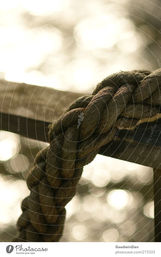 Coastal Magic II Environment Nature Water Beautiful weather Handrail Rope Wood Emotions Moody Colour photo Exterior shot Deserted Twilight