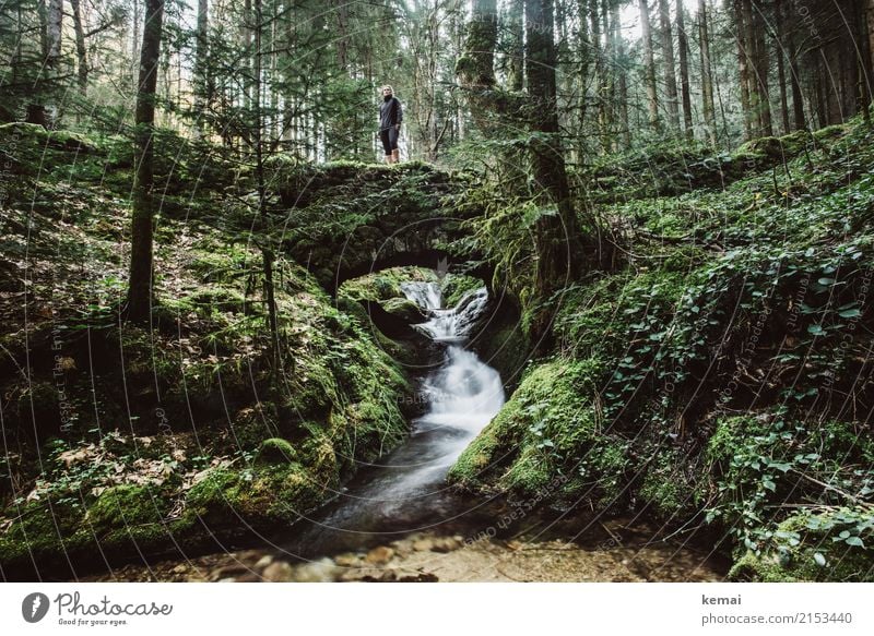 Romantic bridge in the forest Lifestyle Harmonious Well-being Contentment Senses Relaxation Calm Leisure and hobbies Trip Adventure Freedom Summer Hiking Nature