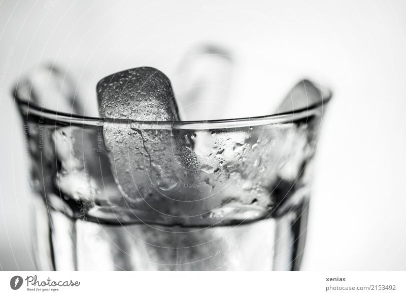 Glass with ice sticks and water Beverage Cold drink Drinking water Water Alcoholic drinks Ice Ice cube Summer Bar Cocktail bar Black White Detail Copy Space top