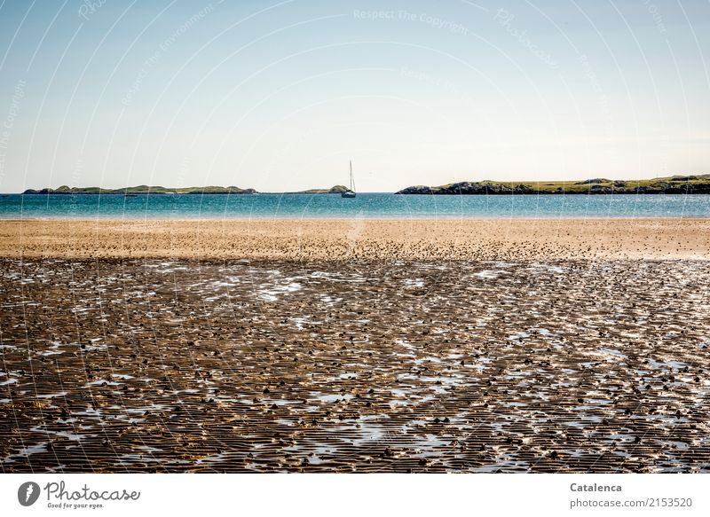 Beach at low tide, coastline and sailing yacht at anchor Well-being Vacation & Travel Ocean Sky Cloudless sky Summer Beautiful weather Atlantic Ocean Island