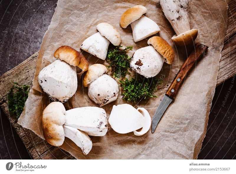 porcini mushrooms Boletus summer stone mushrooms Mushroom Mushroom picker Rustic To enjoy Aromatic Healthy Eating Dish Food photograph Autumn amass Mushroom cap