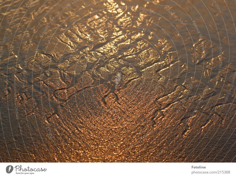 tideway Environment Nature Landscape Elements Earth Water Summer Coast Beach North Sea Ocean Wet Natural Brown Tideway Mud flats Glittering Muddy Sludgy