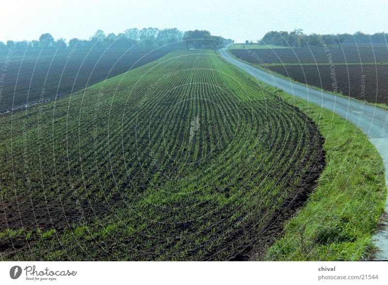 sowing Field Winter Far-off places Lanes & trails Fog