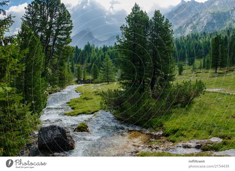 in the Dolomites Vacation & Travel Freedom Summer Mountain Landscape Water Clouds Tree Meadow Forest Hill Rock Alps Brook Italy Esthetic Natural Blue Gray Green