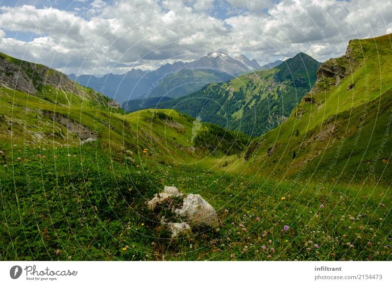 Dolomites high meadow Vacation & Travel Far-off places Summer Mountain Hiking Environment Nature Landscape Clouds Beautiful weather Grass Meadow Alps Peak Italy