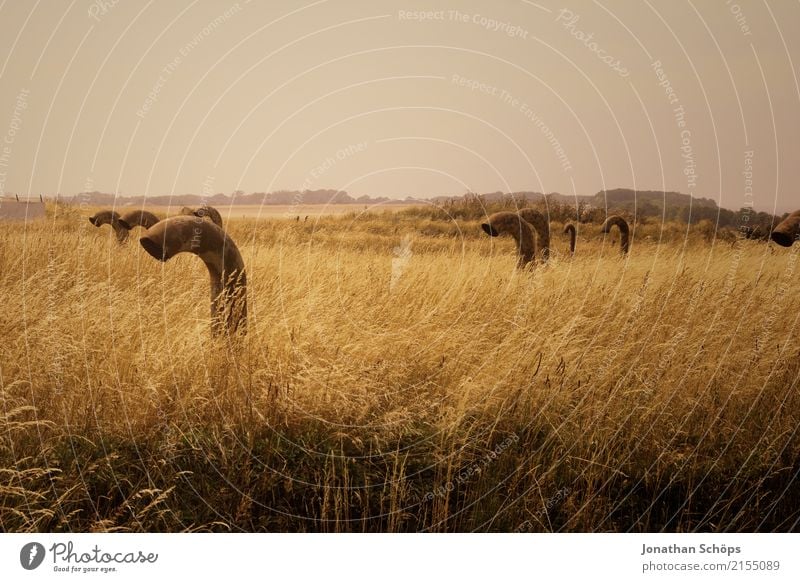 Submarines in the field Environment Nature Landscape Exceptional Idyll Arrangement Stagnating Surrealism Funny Pipe Field Baltic Sea Outlet air Chimney Brown