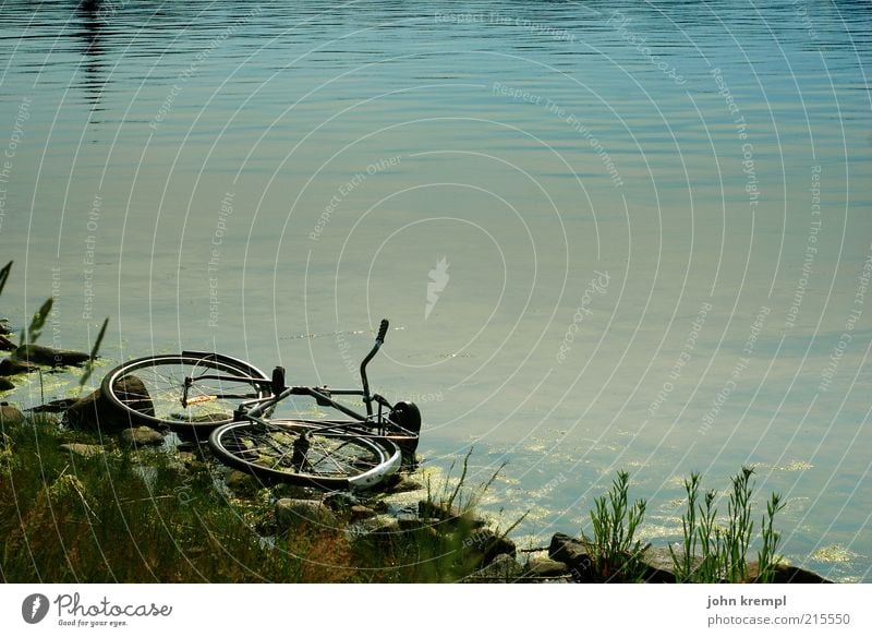 That is not the wheel of Björn Ulvaeus Bicycle Coast Beach To fall Broken Gloomy Blue Brown Calm Sadness Apocalyptic sentiment Stagnating Decline Transience