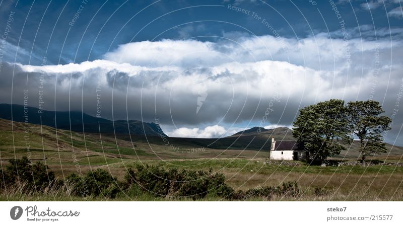 for sale Landscape Sky Clouds Summer Tree Mountain Highlands House (Residential Structure) Hut Threat Blue Green Loneliness Protection Storm front Safe haven