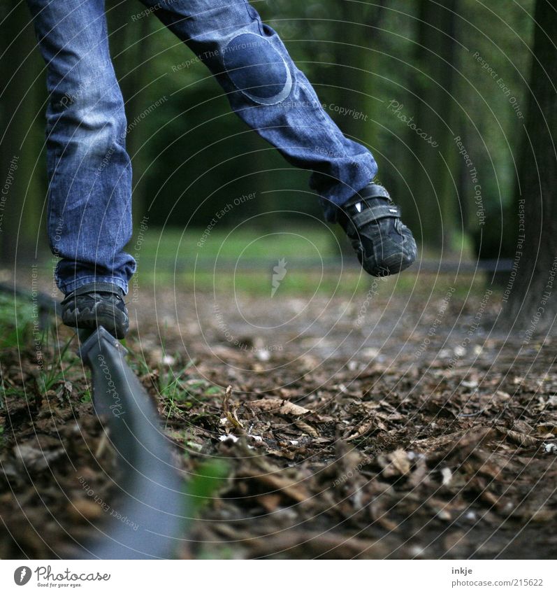 autumn walk Joy Leisure and hobbies Playing Leaf To go for a walk Jeans Child Legs Feet Nature Earth Autumn Park Blue Brown Happiness Joie de vivre (Vitality)