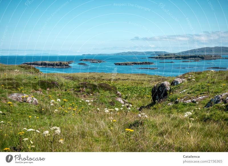 Beautiful views of the sea from the highest point of the island Vacation & Travel Far-off places Summer Landscape Water Sky Beautiful weather Grass Bushes