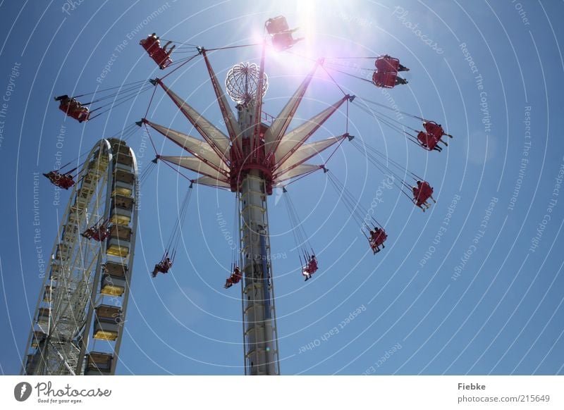 high up Vacation & Travel Trip Summer Sun Human being Group Flying To enjoy Hang To swing Speed Joy Happy Happiness Joie de vivre (Vitality) Chairoplane