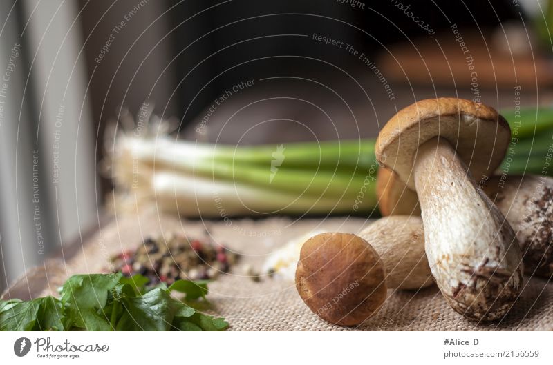 Fresh whole porcini mushrooms and cooking ingredients in the window light Food Herbs and spices Boletus forest mushrooms Nutrition Organic produce