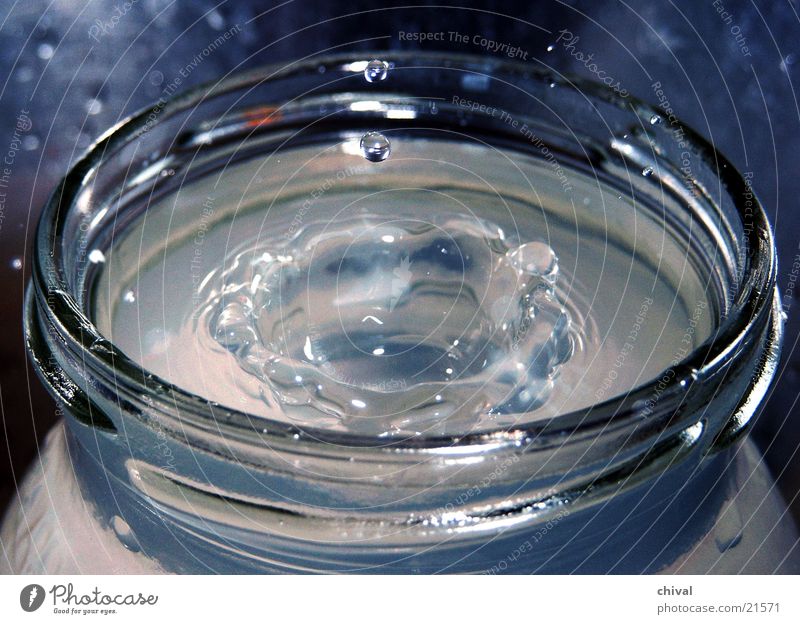 impact Yoghurt glass Flash photo Macro (Extreme close-up) Close-up Drops of water Water Glass Treetop