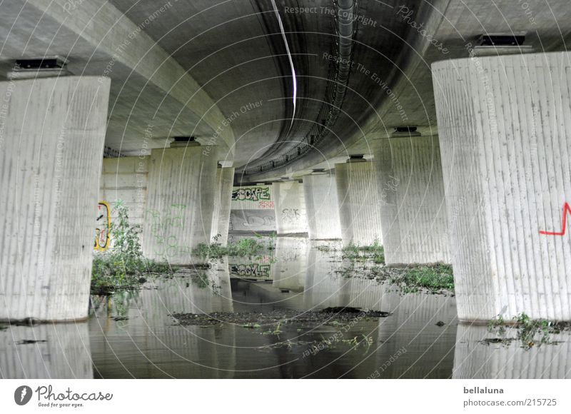 Highway - worm's-eye view Nature Elements Water Weather Storm Plant Bushes Wild plant Brook Gray Green motorway bridge Concreted Concrete block Bridge pier