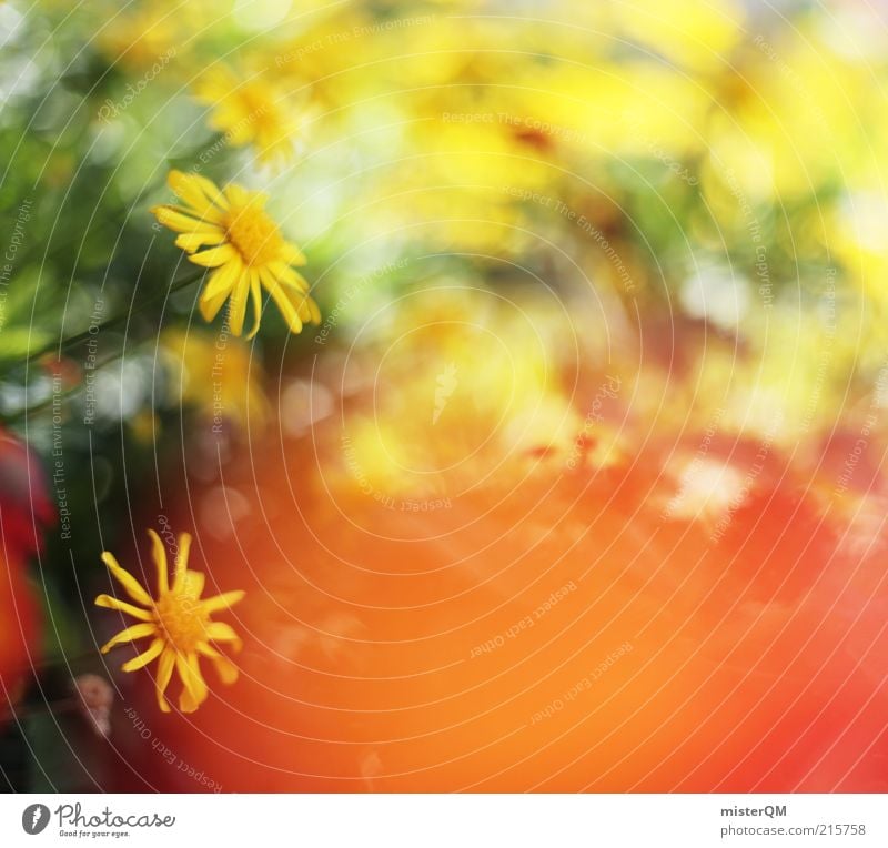 Beautiful Day. Art Esthetic Calm Peace Flower Flower meadow Blossom Blossoming Yellow Decent Warmth Pleasant Ease Background picture Many Blur Spring Summer