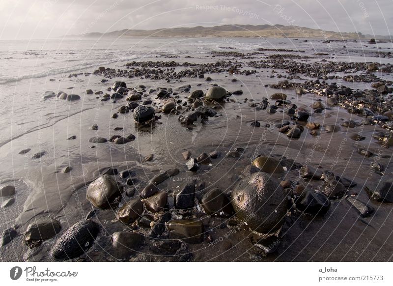 the haka Nature Landscape Elements Sand Water Sky Clouds Bad weather Hill Rock Waves Coast Ocean Dark Exotic Glittering Cold Wet Wanderlust Climate Pure