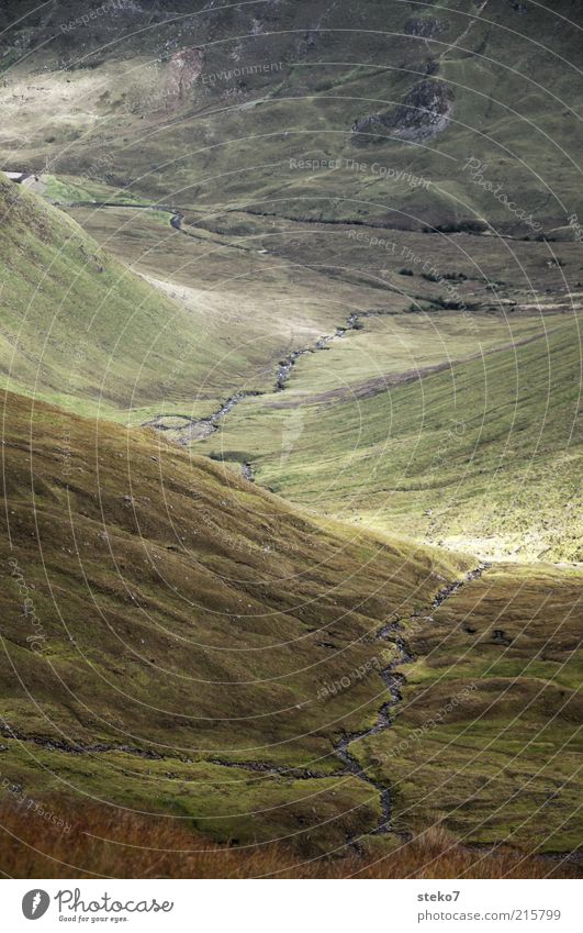 scarred Summer Grass Bushes Mountain River Loneliness Nature Lanes & trails Downward Valley Mountain stream Heathland Subdued colour Exterior shot Deserted