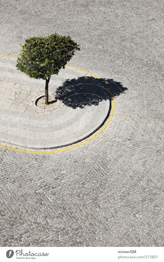 Tolerated. Art Esthetic Tree Cramped Loneliness Nature Arrangement Asphalt Cobblestones Green Environmental protection Sidewalk Lemon tree Minimalistic