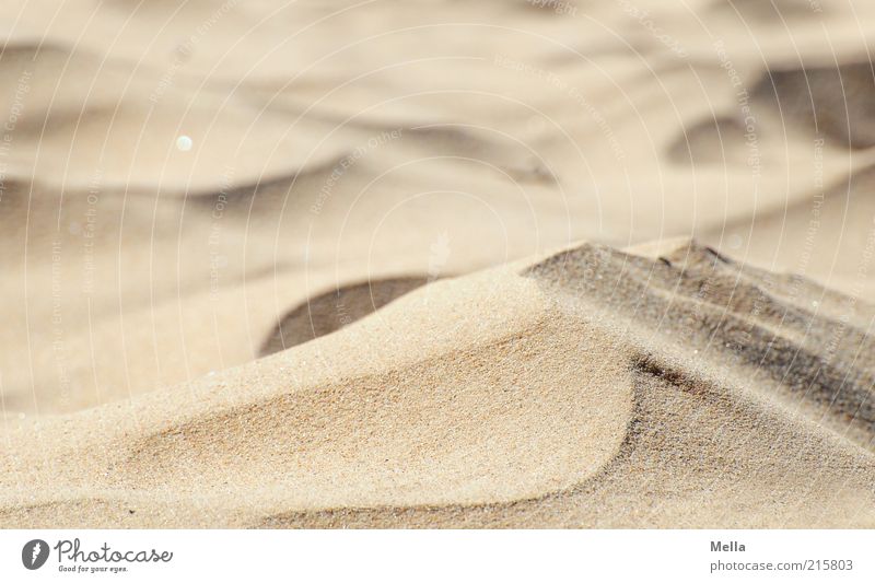 Like sand on the sea Vacation & Travel Beach Environment Nature Sand Climate Climate change Desert Dune Beach dune Near Warmth Soft Drought Fine Grain of sand