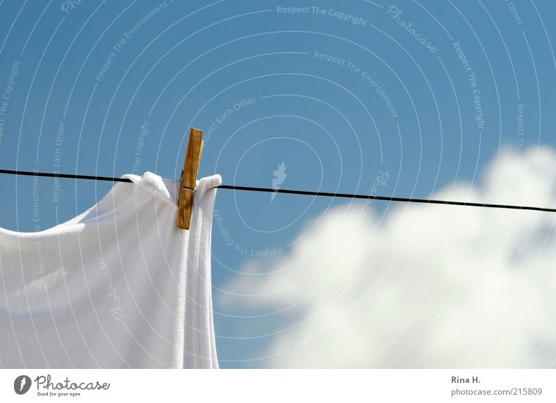 Yesterday (washing day) Sky Clouds Summer Weather Beautiful weather Hang Fresh Bright Clean Blue White Cleanliness Past Clothesline Laundry Undershirt Simple