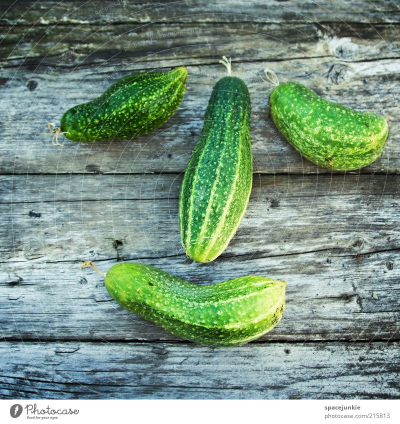 cucumber nose Food Vegetable Nutrition Organic produce Vegetarian diet Diet Nature Joy Happy Happiness Contentment Optimism Appetite Cucumber Healthy Face