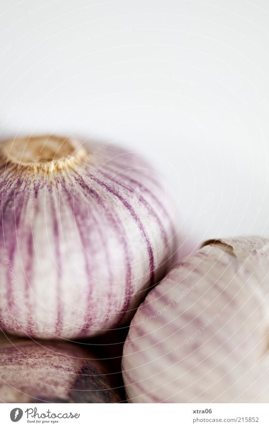 garlic Food Herbs and spices Nutrition Delicious Garlic Colour photo Interior shot Close-up Copy Space top Neutral Background Blur Garlic bulb Studio shot