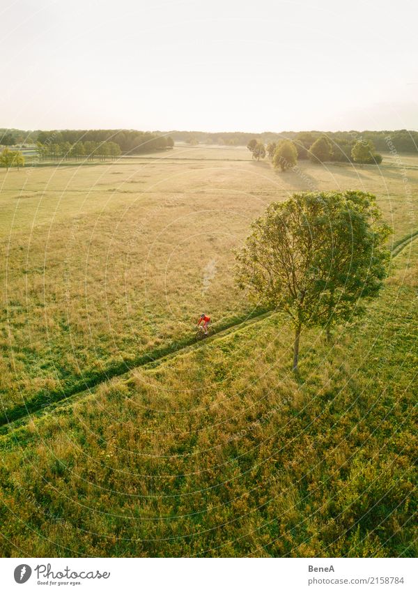 Cyclist rides through heath landscape at sunset Lifestyle Joy Leisure and hobbies Vacation & Travel Trip Adventure Freedom Expedition Cycling tour Summer Sun